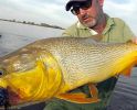 argentina-golden-dorado-fishing-01
