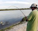 argentina-golden-dorado-fishing-02